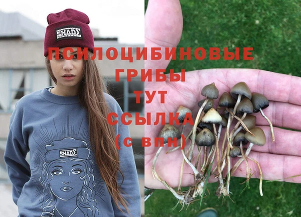 a pvp Алексин