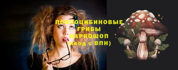 круглые Абаза