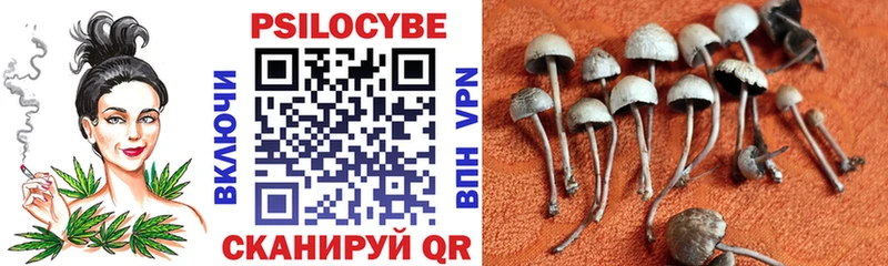 Галлюциногенные грибы Psilocybine cubensis  darknet Telegram  Дубна 